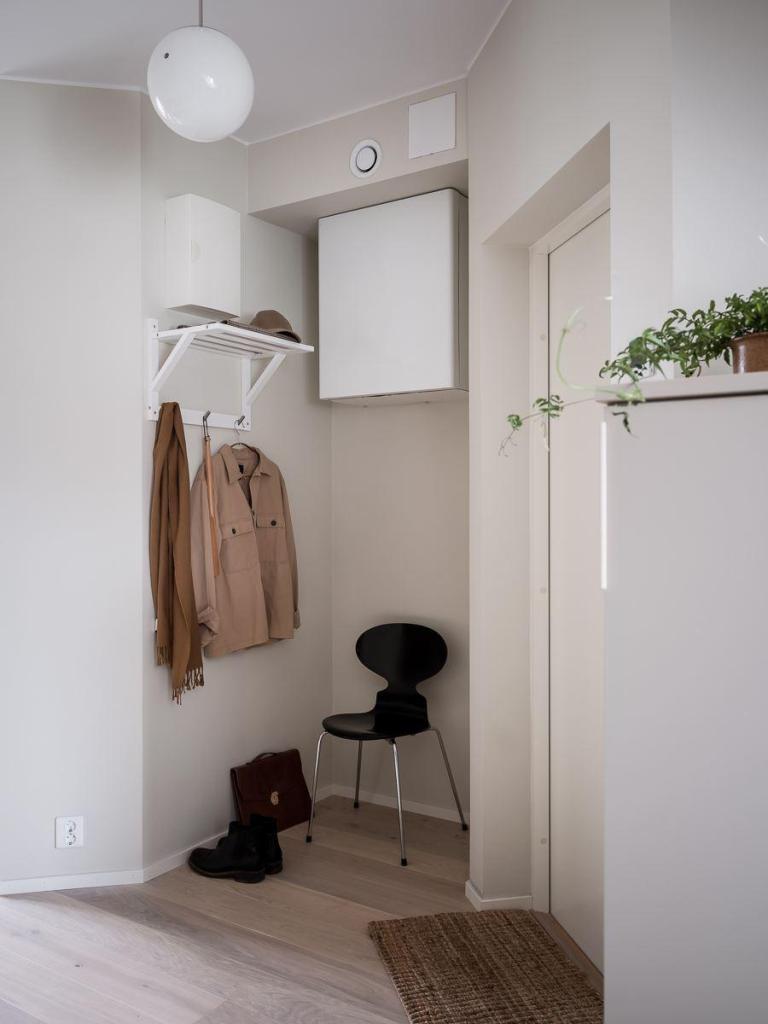 A small hallway section next to the front door of a studio apartment