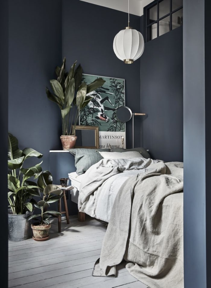 A small dark blue bedroom with lots of plants